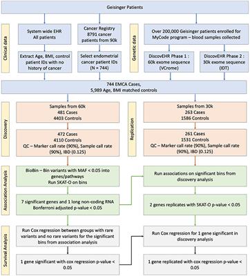 Exome-Wide Rare Variant Analysis From the DiscovEHR Study Identifies Novel Candidate Predisposition Genes for Endometrial Cancer